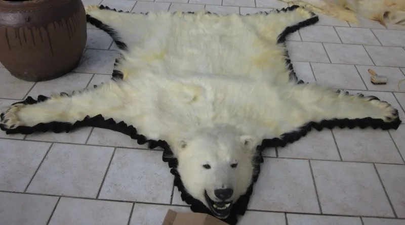 tapis ours polaire