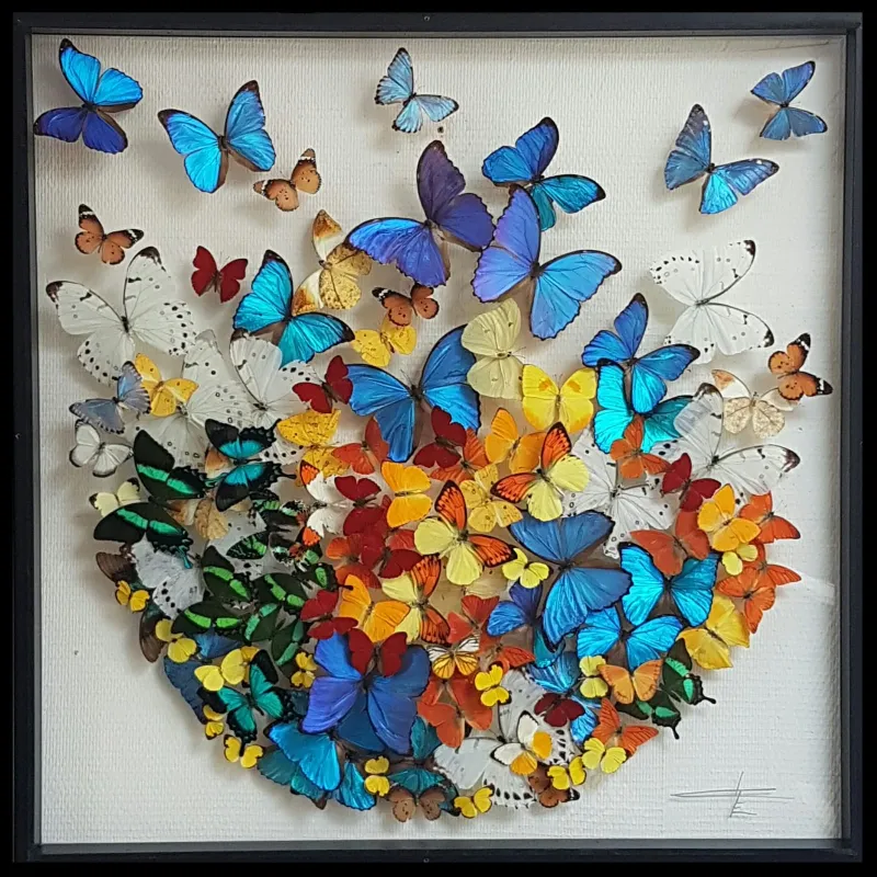 Envole de papillons