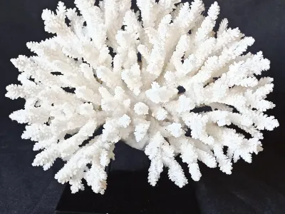 3 (Largeur : 20 cm Hauteur : 17 cm)