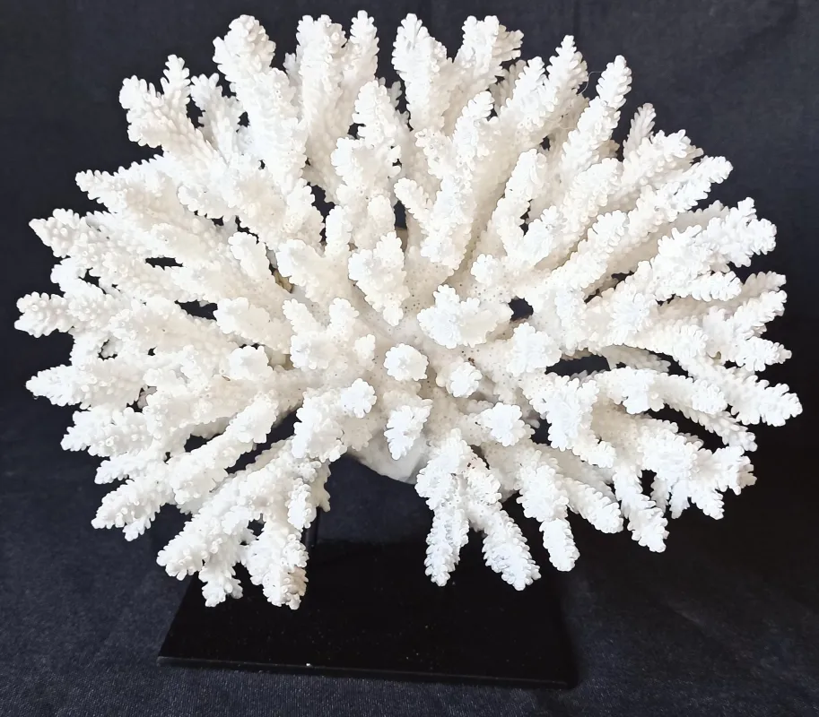 3 (Largeur : 20 cm Hauteur : 17 cm)