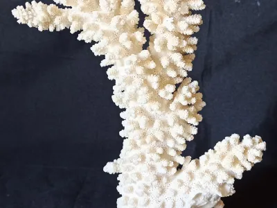 6 (Largeur : 20 cm Hauteur : 29 cm)