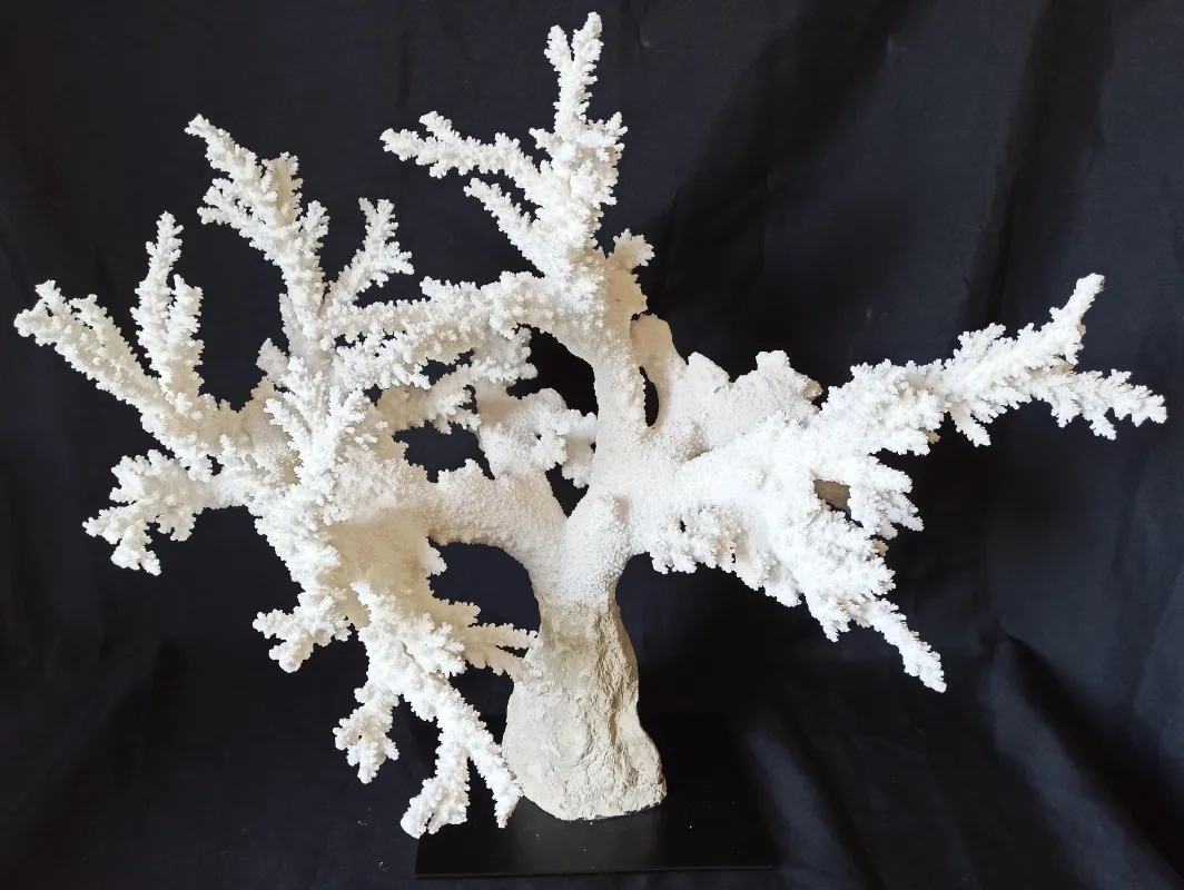 7 (Largeur : 58,5 cm Hauteur : 50 cm)