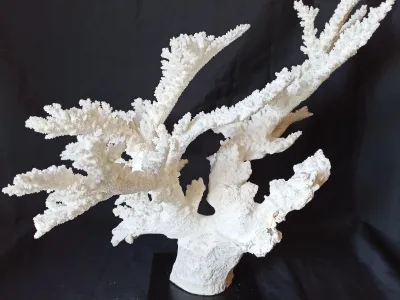 8 (Largeur : 52 cm Hauteur : 49,5 cm)