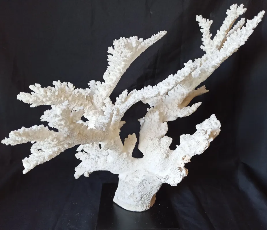 8 (Largeur : 52 cm Hauteur : 49,5 cm)