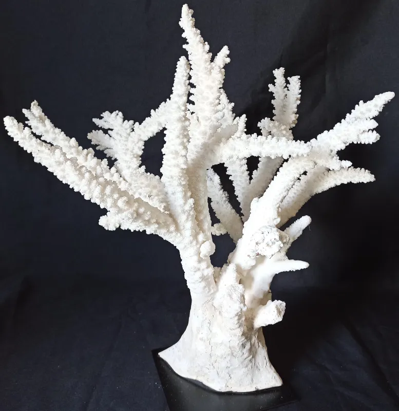 9 (Largeur : 43 cm Hauteur : 42 cm)