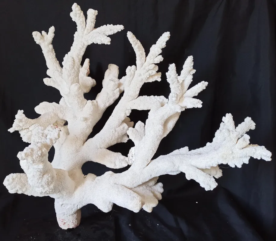 10 (Largeur : 58 cm Hauteur : 60 cm)