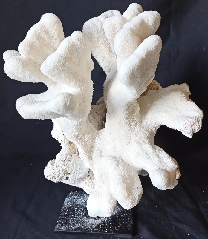 12 (Largeur : 32,5 cm Hauteur : 38 cm)