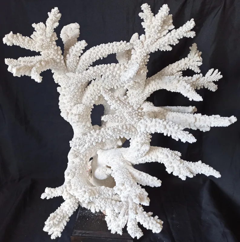 13 (Largeur : 49 cm Hauteur : 65 cm)