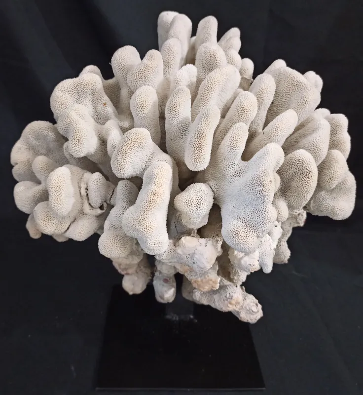 26 (Largeur : 28 cm Hauteur : 32 cm)